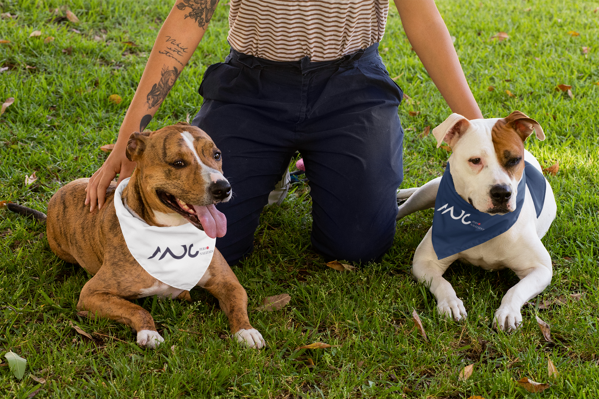 pet com bandana